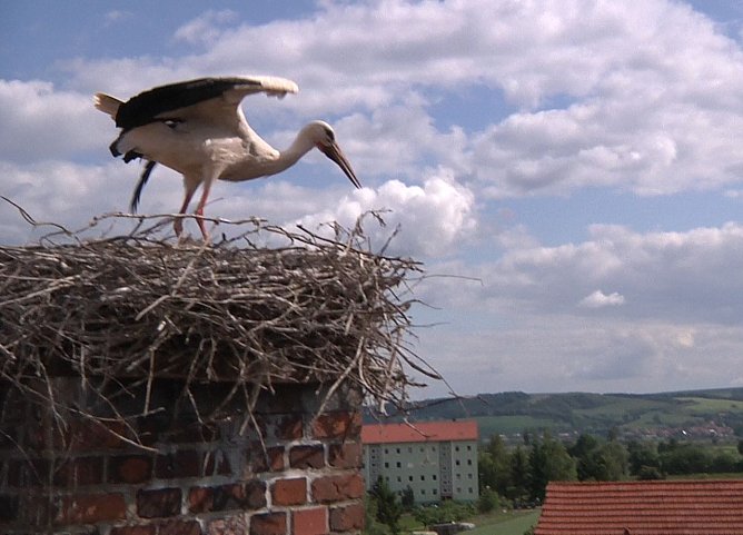 Hoch oben (Foto: Angelo Glashagel)