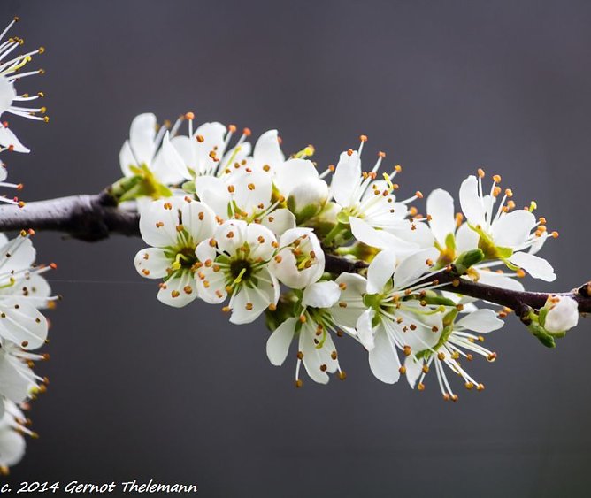 Wetter-Bild (Foto: Gernot Thelemann)