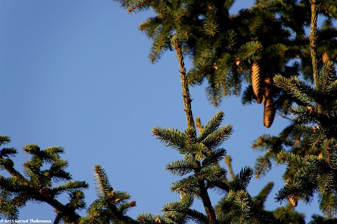 Wetter-Bild (Foto: Gernot Thelemann)