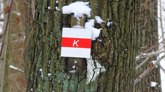 Wichtiger Wanderweg (Foto: Bodo Schwarzberg)