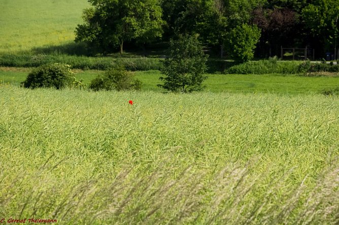 Wetter-Bild (Foto: Gernot Thelemann) Wetter-Bild (Foto: Gernot Thelemann)