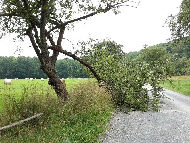 Abgebrochen (Foto: Peter Blei)