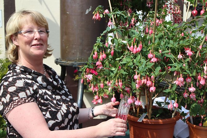 Taufe einer Fuchsie (Foto: Angelo Glashagel) Taufe einer Fuchsie (Foto: Angelo Glashagel)