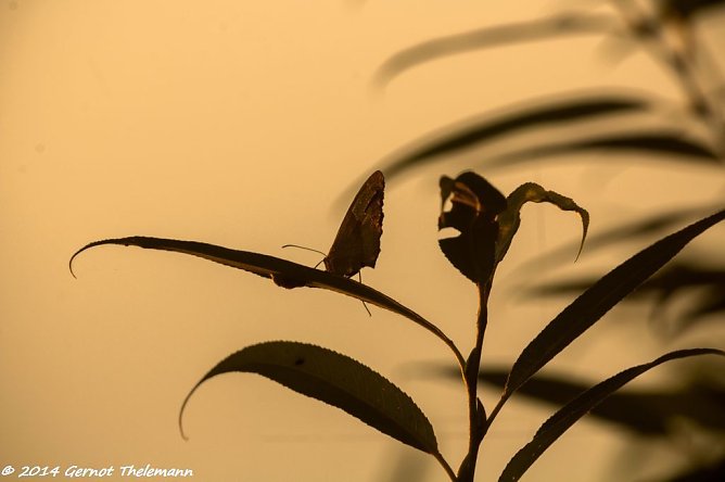 Wetter-Bild (Foto: Gernot Thelemann) Wetter-Bild (Foto: Gernot Thelemann)