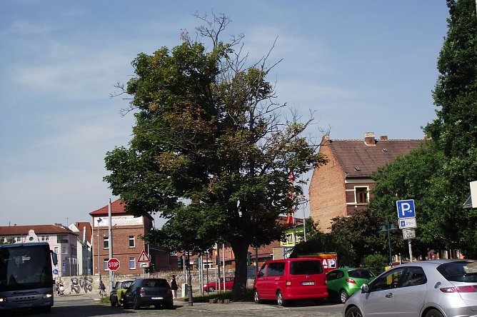 Gefahr erkannt (Foto: Kurt Frank)