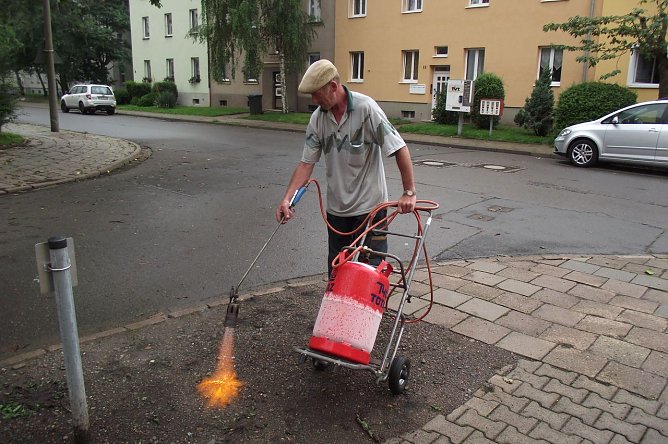 Selbst ist der Mann (Foto: Kurt Frank)