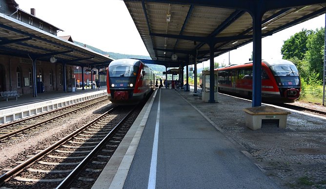 Nicht ausd&uuml;nnen (Foto: A. Wieninger)