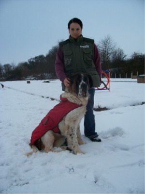 tier der woche (Foto: tierheim)