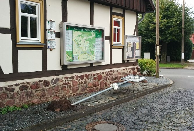 Sinnlos zerstört (Foto: privat) Sinnlos zerstört (Foto: privat)