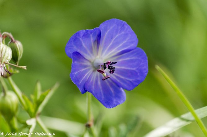 Wetterbild (Foto: Gernot Thelemann)