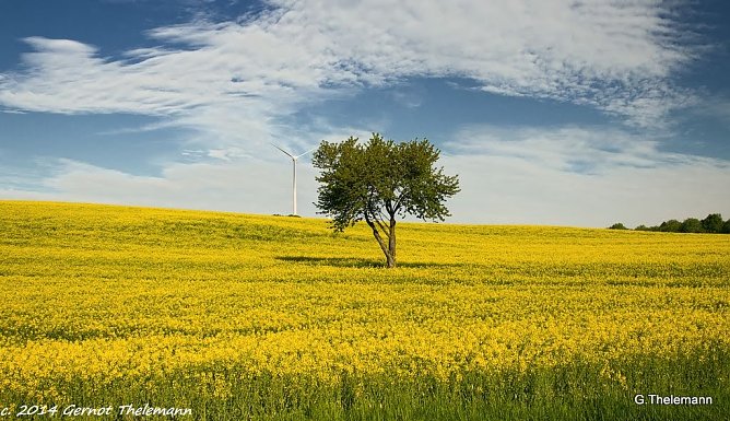 Wetter-Bild (Foto: Gernot Thelemann) Wetter-Bild (Foto: Gernot Thelemann)