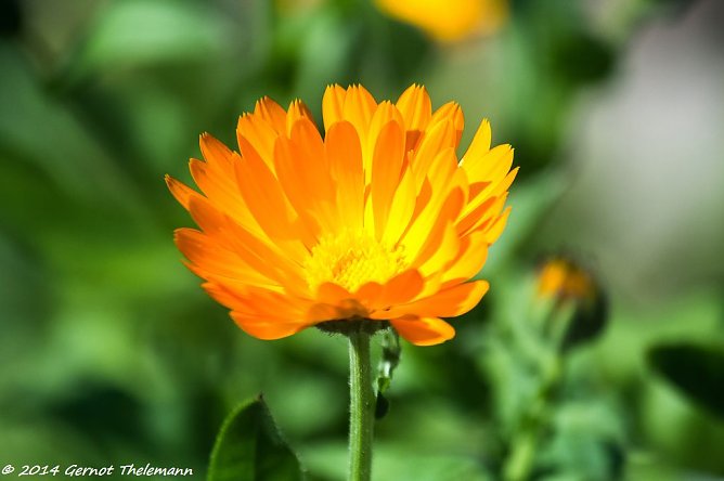 Wetterbild (Foto: Gernot Thelemann) Wetterbild (Foto: Gernot Thelemann)