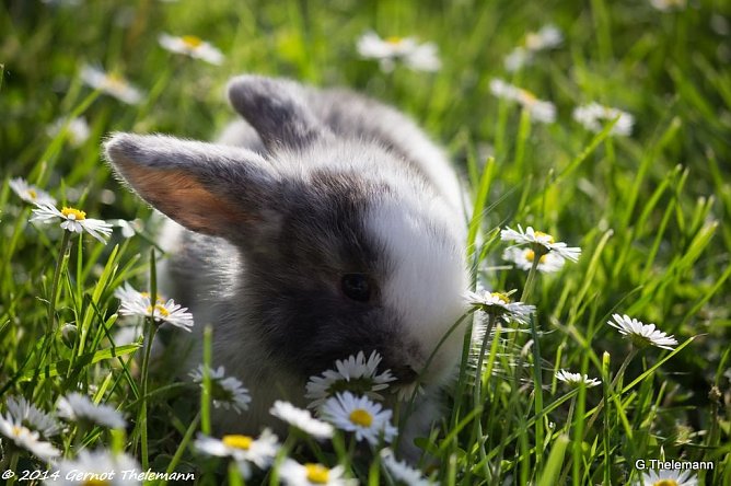 Wetter-Bild (Foto: Gernot Thelemann) Wetter-Bild (Foto: Gernot Thelemann)
