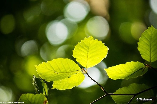 Wetter-Bild (Foto: Gernot Thelemann)