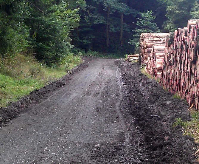 Wanderwege betroffen (Foto: Forstamt/M. B&ouml;hme)