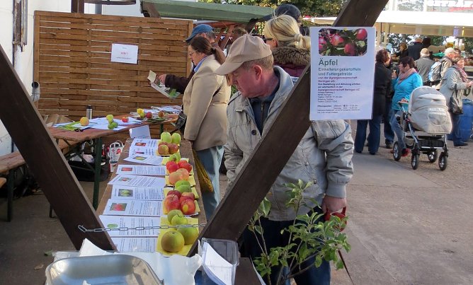 Apfeltag beim Fischerfest (Foto: privat) Apfeltag beim Fischerfest (Foto: privat)