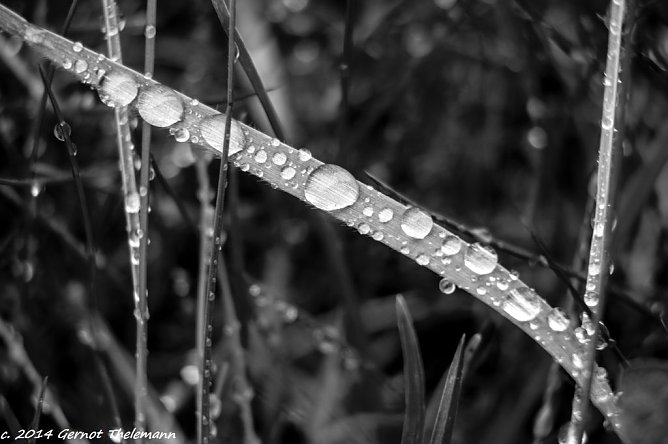 Wetter-Bild (Foto: Gernot Thelemann)