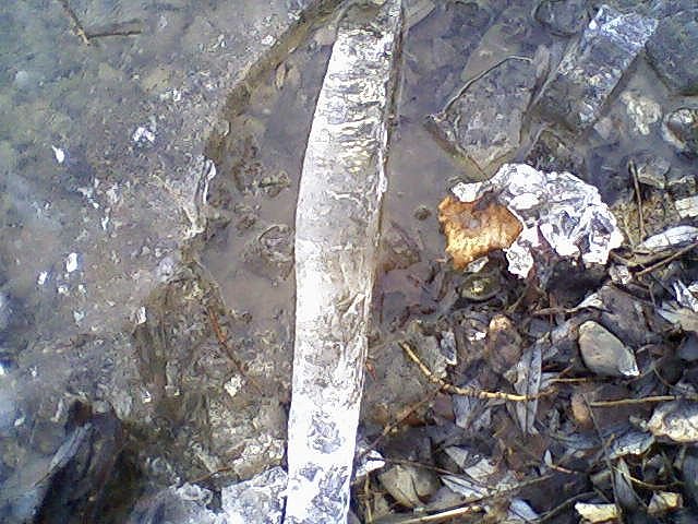 Wanderung (Foto: Reinhardt)