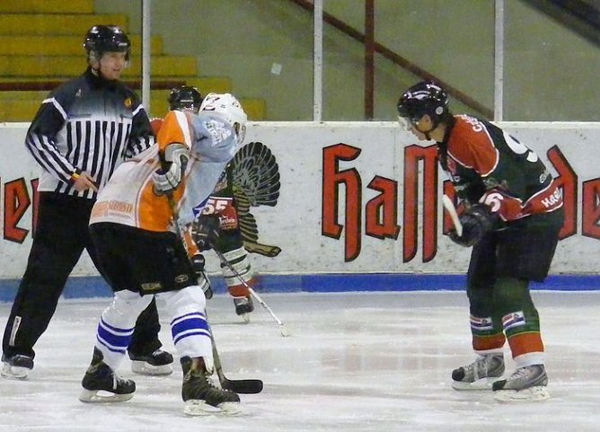 W&ouml;lfe an der Ostsee (Foto: Koch)