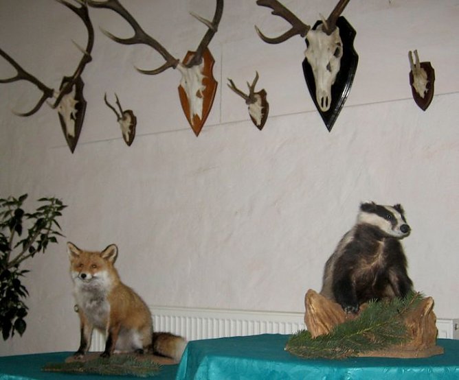 Neue Ausstellung (Foto: Hoffmann) Neue Ausstellung (Foto: Hoffmann)