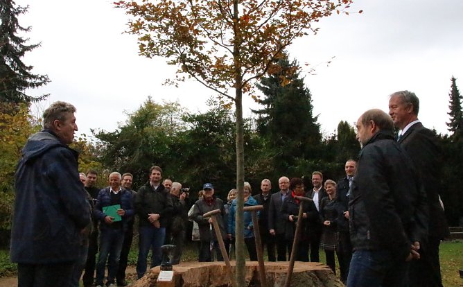 Ersatz gepflanzt (Foto: P. Grabe|Stadtverwaltung Nordhausen) Ersatz gepflanzt (Foto: P. Grabe|Stadtverwaltung Nordhausen)