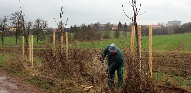 Arbeiten in der Windl&uuml;cke bei Nordhausen (Foto: Stadtverwaltung Nordhausen)