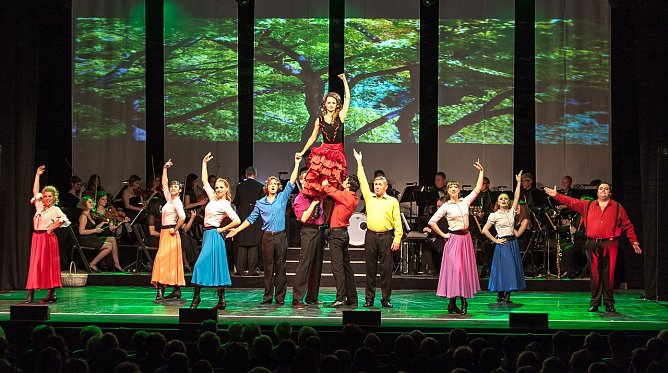 Nacht der Operette (Foto: privat)