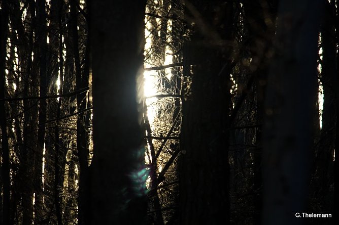 Wetter-Bild (Foto: Gernot Thelemann)