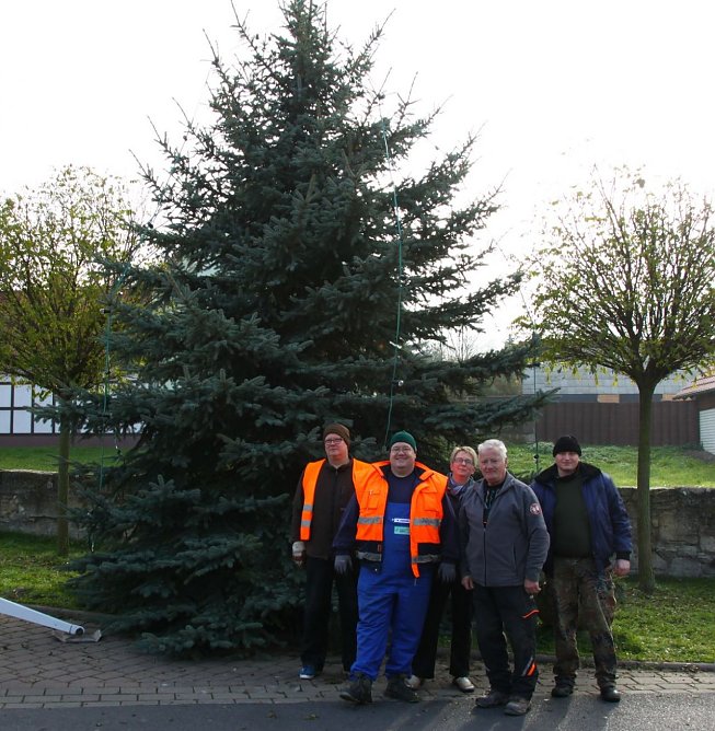 Weihnachtsbaum in Obergebra aufgestellt (Foto: M. Randel)