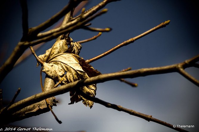 Wetterbild (Foto: Gernot Thelemann)