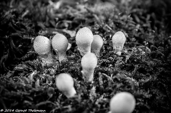 Wetter-Bild (Foto: Gernot Thelemann) Wetter-Bild (Foto: Gernot Thelemann)