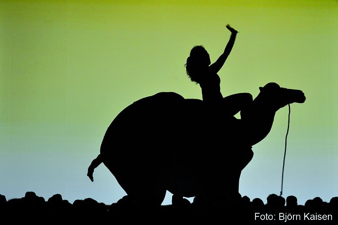 Amazing Shadows - nur mit ihren K&ouml;rpern formen die amerikanischen K&uuml;nstler fantastische Schattenfiguren (Foto: Catapult Entertainment)