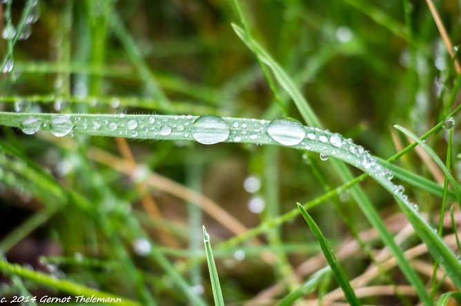 Wetterbild (Foto: Gernot Thelemann)
