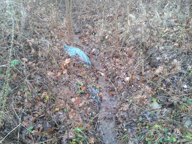 Ein Plastikbeutel im Bachbett - wirklich verschwinden wird der Beutel so schnell nicht (Foto: Bodo Schwarzberg)