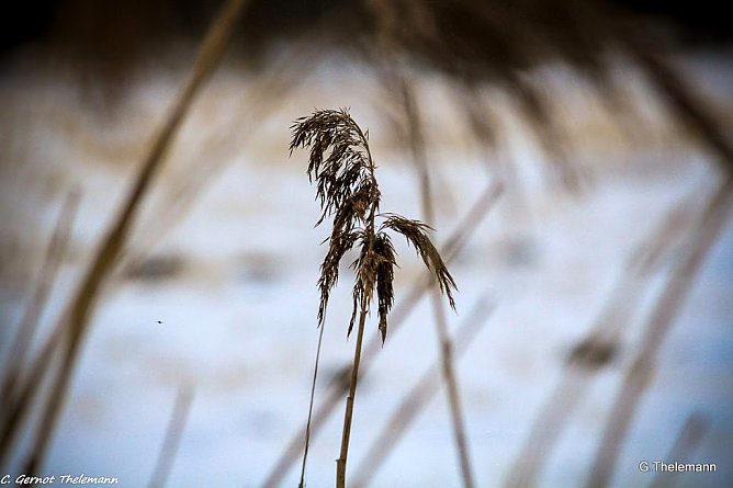 Wetter-Bild (Foto: Gernot Thelemann)