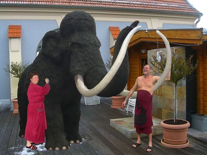 Mammut im Badehaus (Foto: Wersdorf)