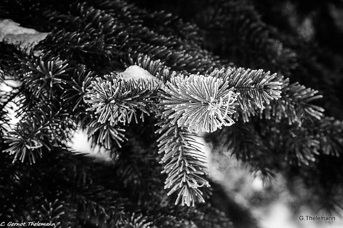 Wetter-Bild (Foto: Gernot Thelemann)