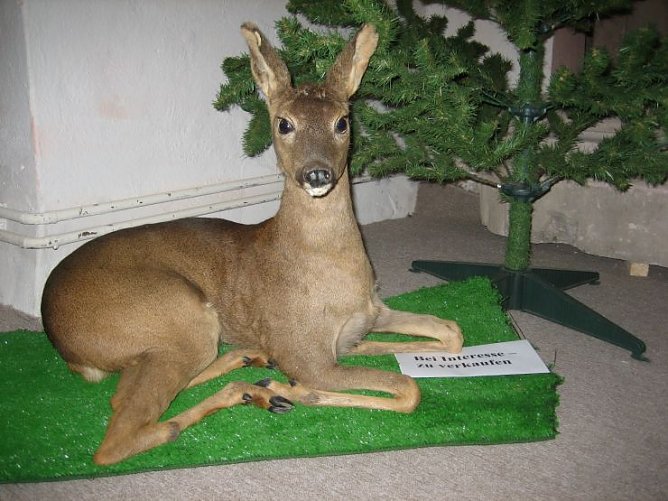 Neuigkeiten aus dem Heringer Schlo&szlig; (Foto: Hoffmann)