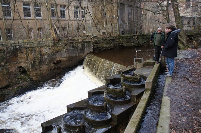 Die Fischtreppe an der alten Schokoladenfabrik Friedel in Wernigerode (Foto: Prof. Axel Stödter) Die Fischtreppe an der alten Schokoladenfabrik Friedel in Wernigerode (Foto: Prof. Axel Stödter)