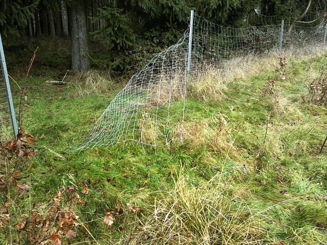 Mutwillig zerst&ouml;rt (Foto: Apel)