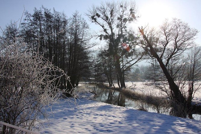 Wipperaue bei Obergebra (Foto: M. Randel)