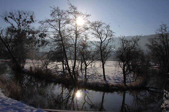 Wipperaue bei Obergebra (Foto: M. Randel)