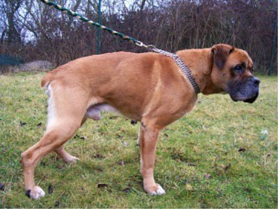 Berry (Foto: Knust) Berry (Foto: Knust)