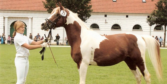 Mitgliederversammlung (Foto: privat) Mitgliederversammlung (Foto: privat)