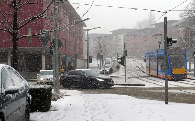 Flockenwirbel (Foto: nnz)