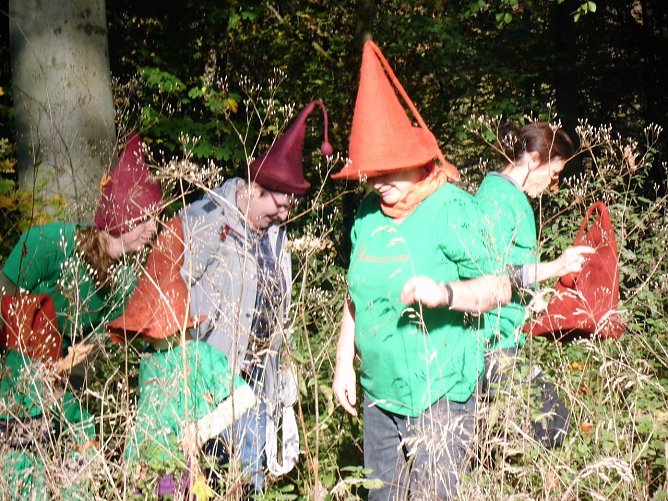 Der Harzer Sagen Pfad will auf die Ilburg umziehen (Foto: Ulrike Tuschy)