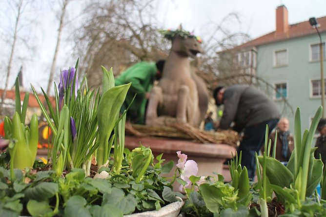 Heute schon geschm&uuml;ckt - der Meerpferdchenbrunnen in Nordhausen (Foto: Angelo Glashagel)