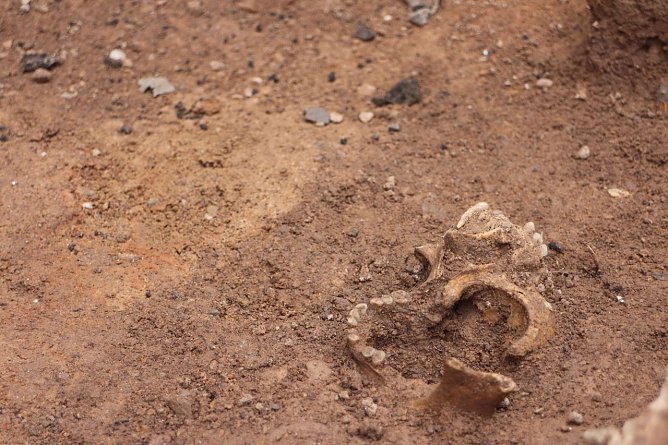 Ausgrabungen an der Altendorfer Kirche - Neben sterblichen &Uuml;berresten und Teilen des alten Seitenschiffes wurden auch Hinweise auf einen m&ouml;glichen Vorg&auml;ngerbau entdeckt (Foto: Angelo Glashagel)