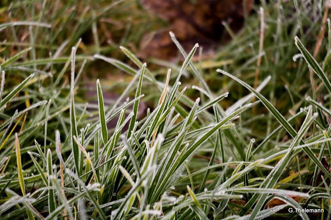 Wetter-Bild (Foto: Gernot Thelemann) Wetter-Bild (Foto: Gernot Thelemann)