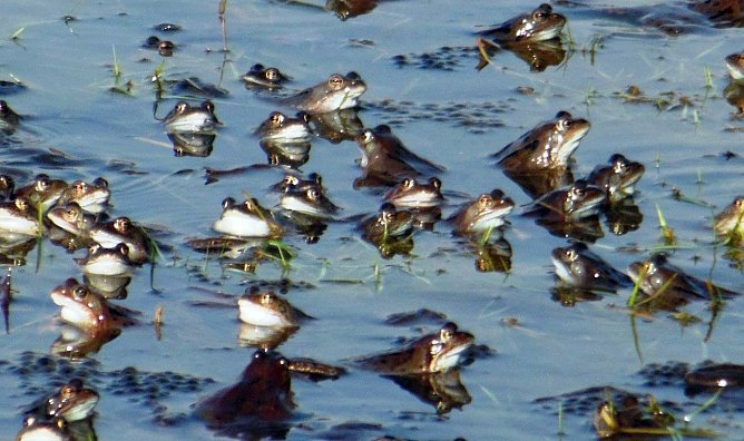 Tausende werden unterwegs sein (Foto: L. Schubert) Tausende werden unterwegs sein (Foto: L. Schubert)